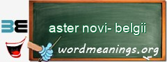 WordMeaning blackboard for aster novi-belgii